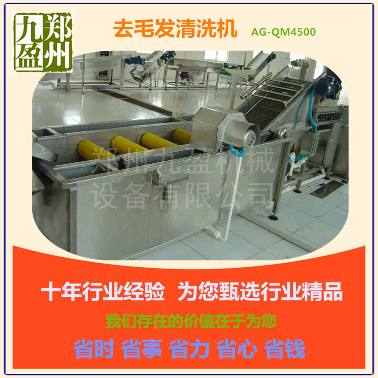 廠家批發(fā) 臭氧自動(dòng)翻轉(zhuǎn)洗菜機(jī) 商用連續(xù)式洗菜機(jī) 毛刷去雜清洗