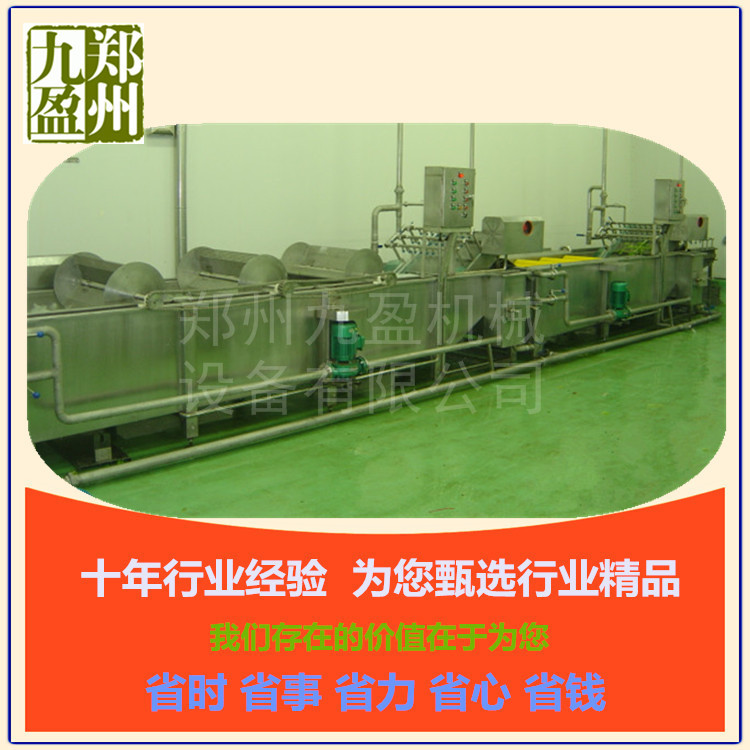 廠家批發(fā) 臭氧自動(dòng)翻轉(zhuǎn)洗菜機(jī) 商用連續(xù)式洗菜機(jī) 毛刷去雜清洗