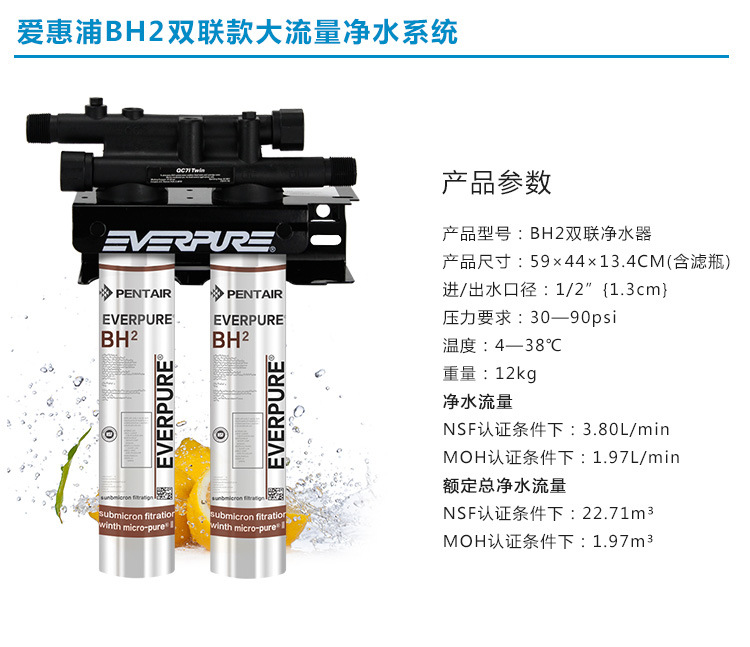 美國(guó)進(jìn)口愛(ài)惠浦（Everpure）BH2 雙聯(lián)凈水器 過(guò)濾系統(tǒng) 商用