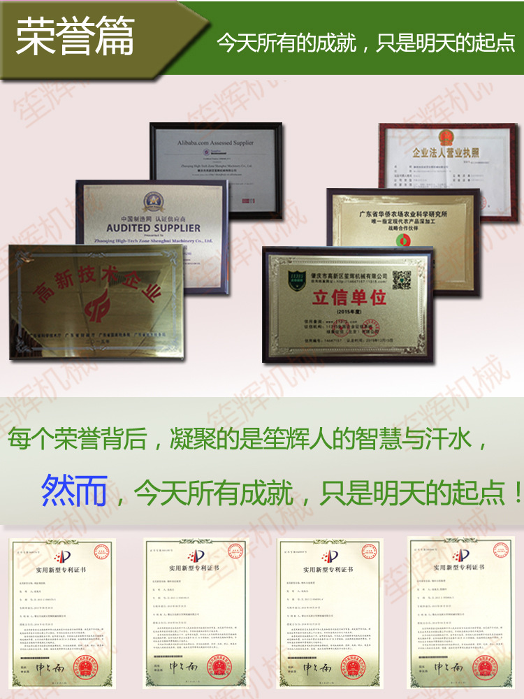 供應(yīng)清洗機WL-24 專業(yè)臭氧消毒洗大棗 去雜去毛發(fā)洗菜機 商用