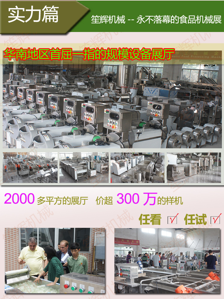 供應(yīng)清洗機WL-24 專業(yè)臭氧消毒洗大棗 去雜去毛發(fā)洗菜機 商用