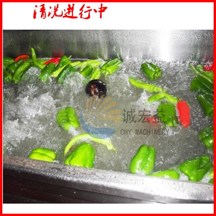暢銷 商用大型氣泡臭氧洗菜機(jī) 蒜臺(tái)/山芹菜清洗機(jī) 現(xiàn)貨供應(yīng)