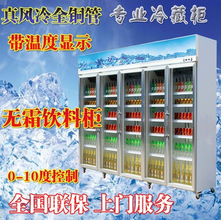 廠家直銷冰柜立式五門(mén)冷藏陳列柜 飲料展示冰箱 超市便利店保鮮柜