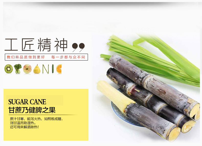 樂創(chuàng)臺(tái)式電動(dòng)甘蔗機(jī) 不銹鋼甘蔗榨汁機(jī)榨甘蔗汁壓榨機(jī)商用帶電瓶